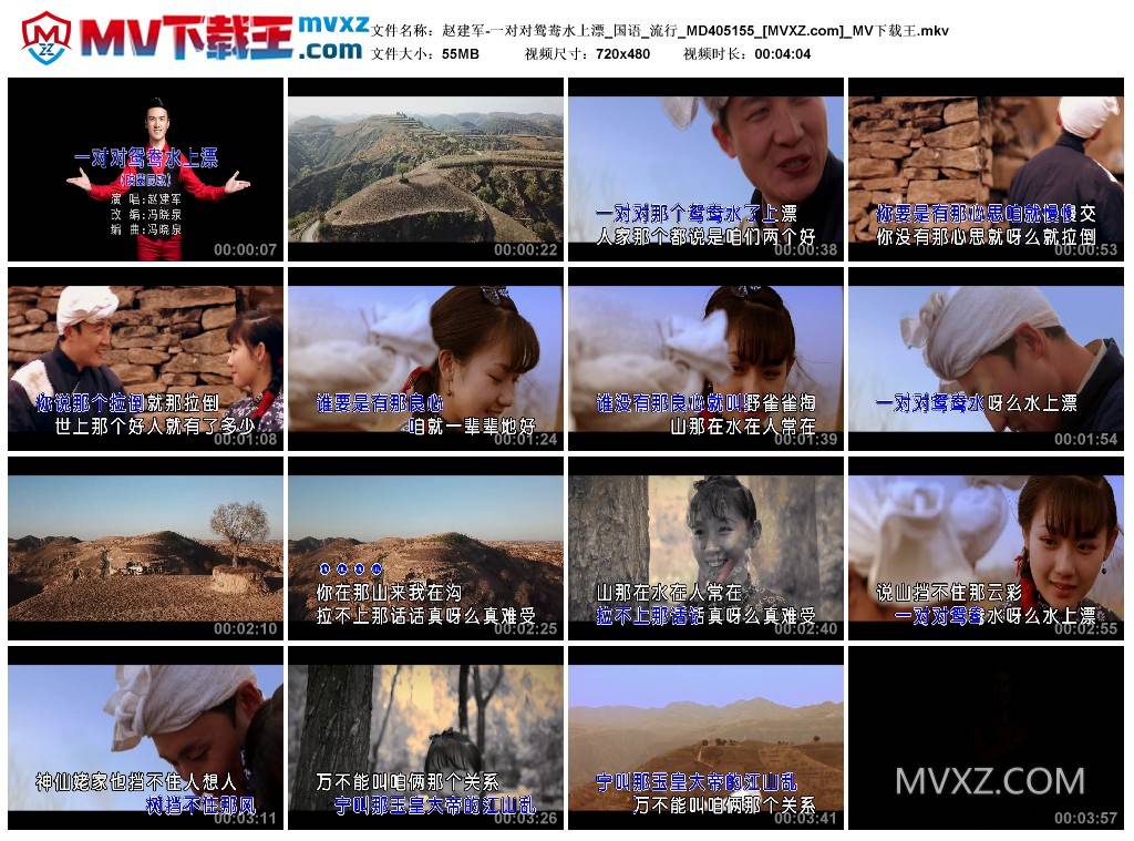 赵建军-一对对鸳鸯水上漂_国语_流行_MD405155